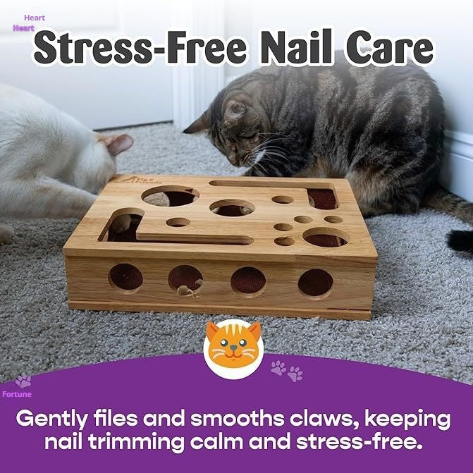 Scratch & Play Cat Box