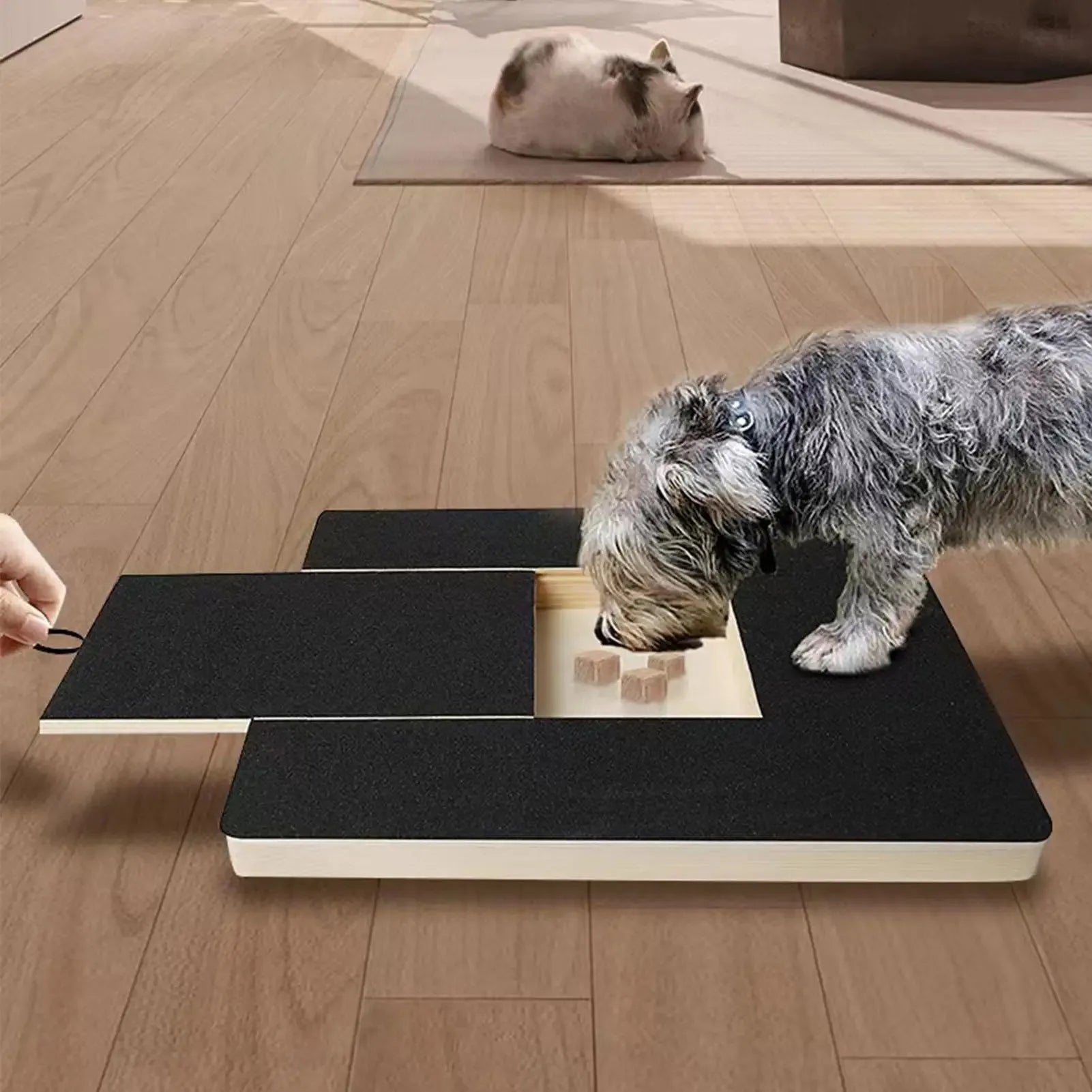 Nail Care Scratch Board with Treat Reward