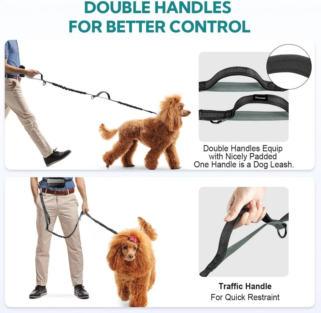 Hands-Free Dog Leash with Zipper Pouch