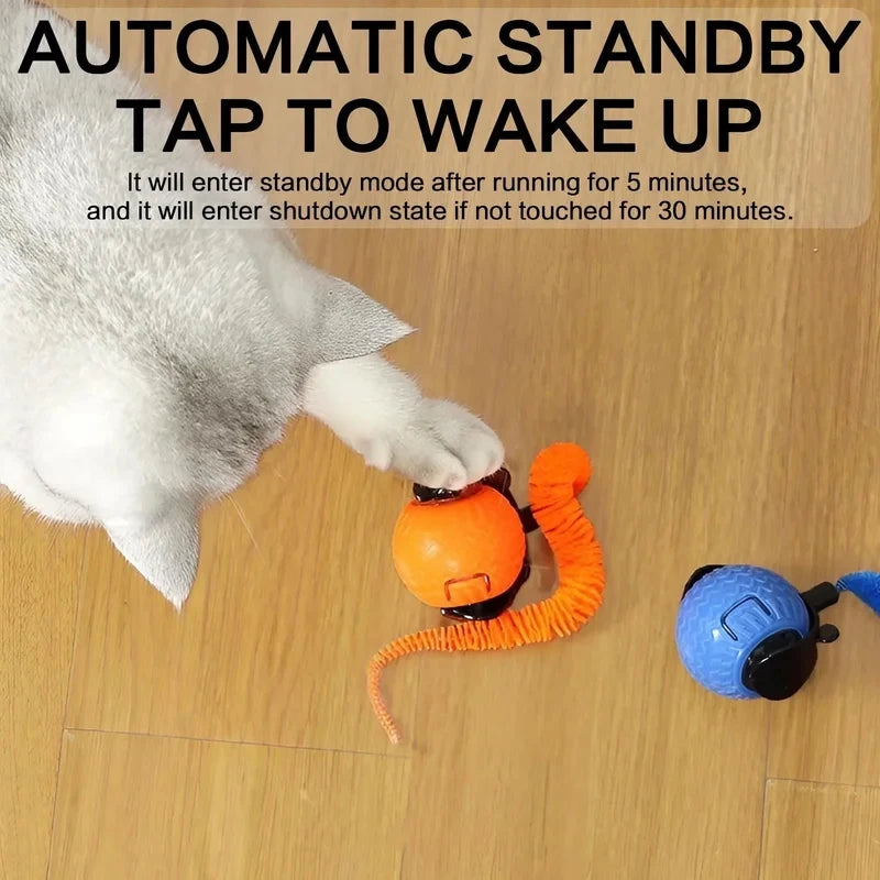 Interactive Wave-Chasing Smart Pet Ball