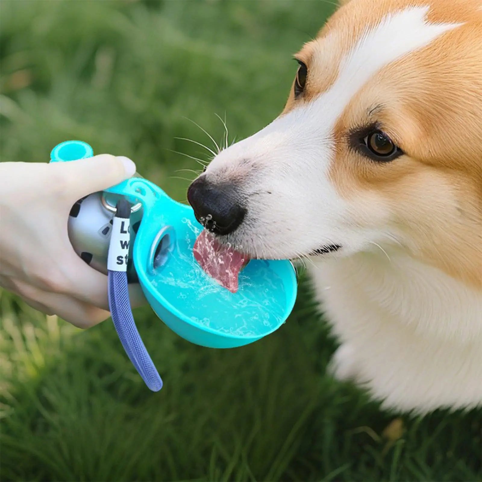 Portable Dog Water Bottle & Bowl 2-in-1