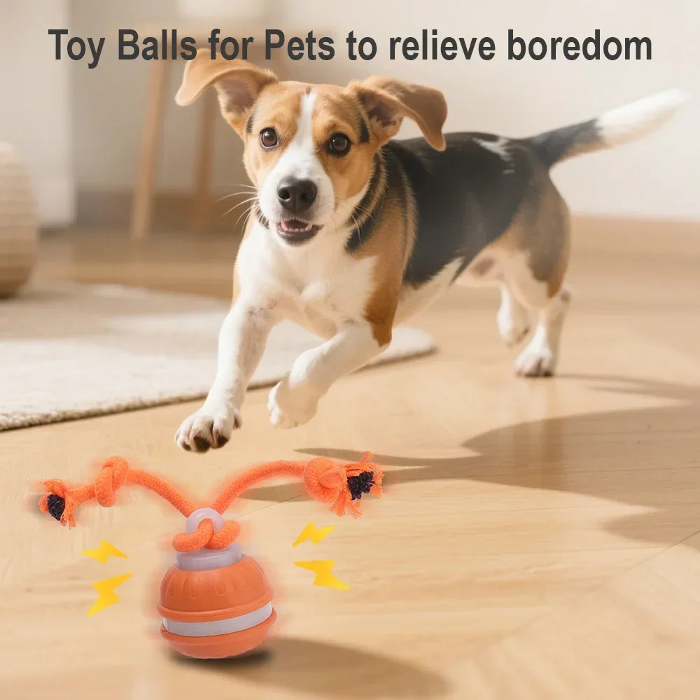 Smart Rolling Pet Ball – Endless Chase