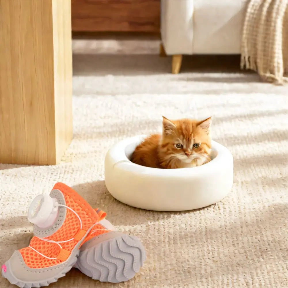 Cozy Button Pet Shoes – Paw Protection