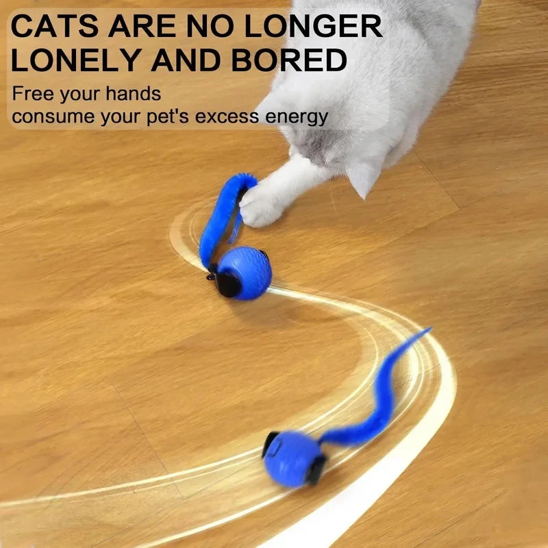 Interactive Wave-Chasing Smart Pet Ball