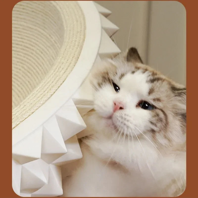Sisal Scratch & Snooze Cat Nest