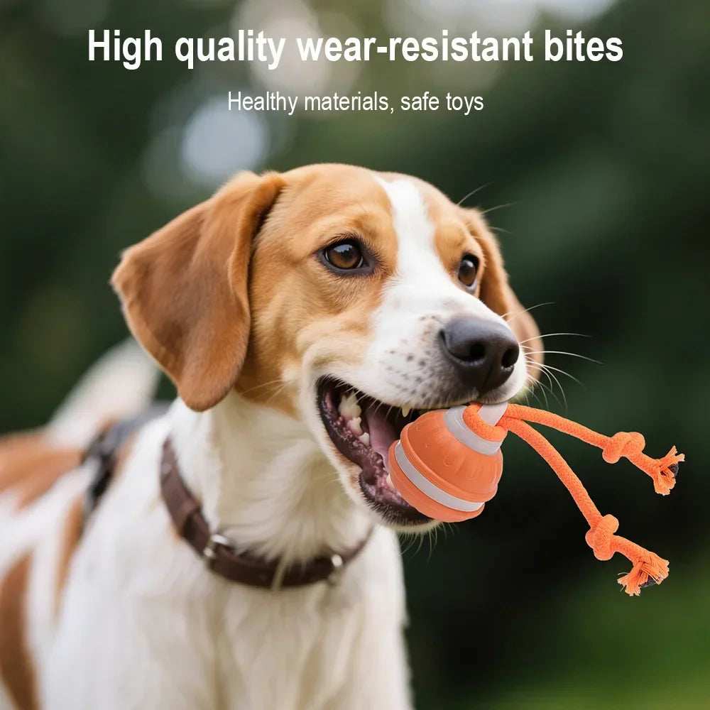 Smart Rolling Pet Ball – Endless Chase