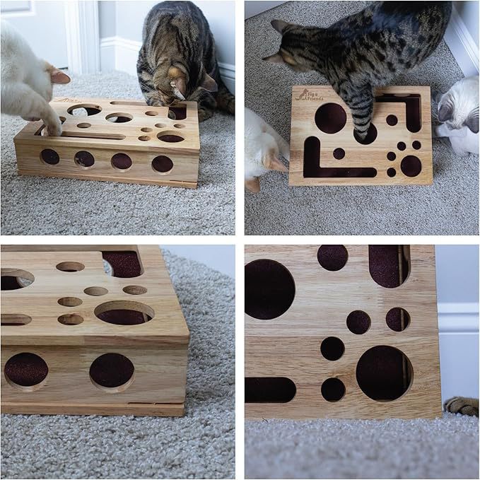 Scratch & Play Cat Box